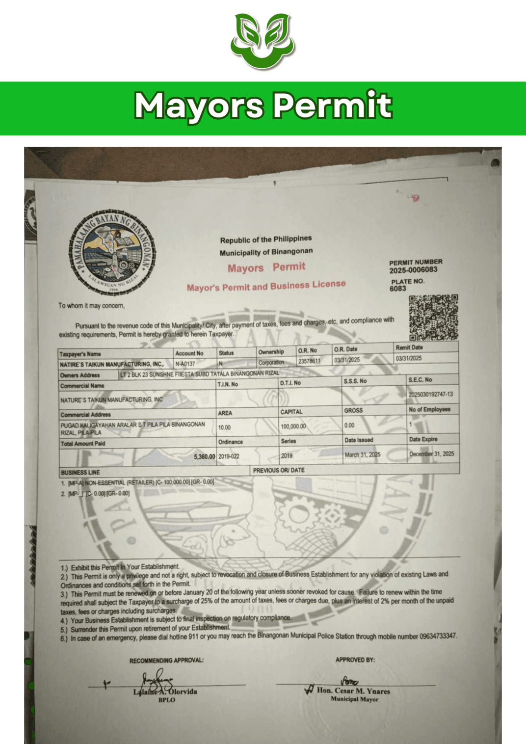 Mayor's Permit